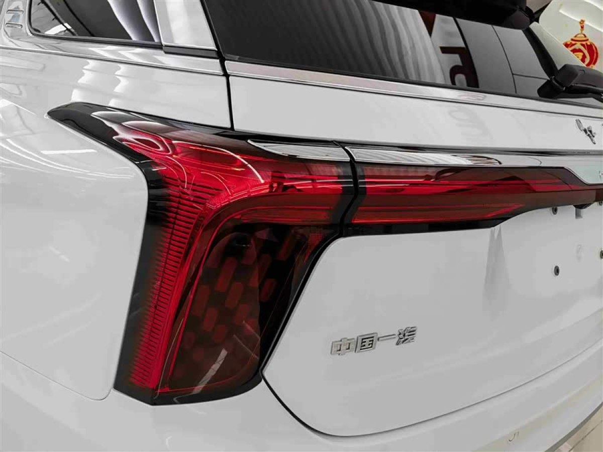 HongQi E-HS9 2021 #7 HongQi E-HS9 2021 immagine di auto #7