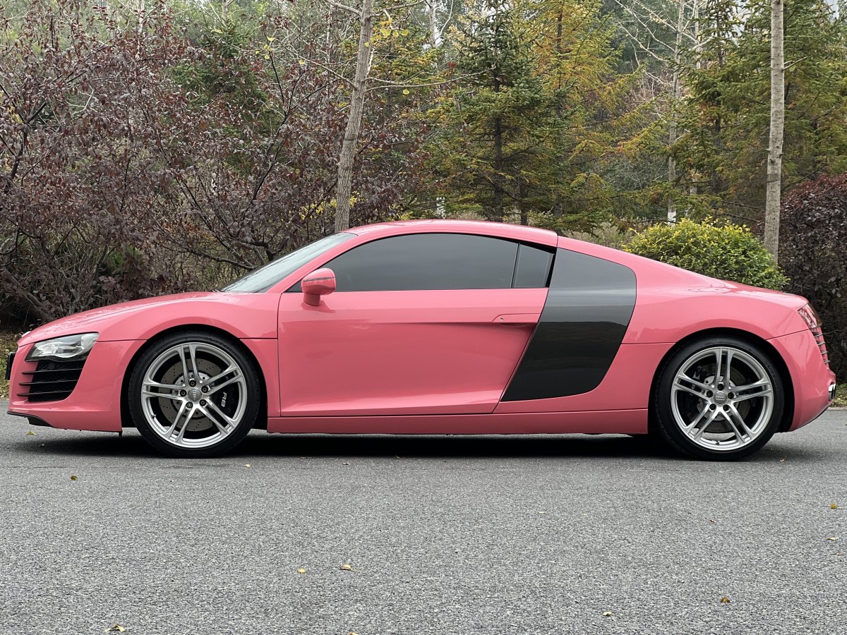 Audi R8 2010 #7 Audi R8 2010 car image #7