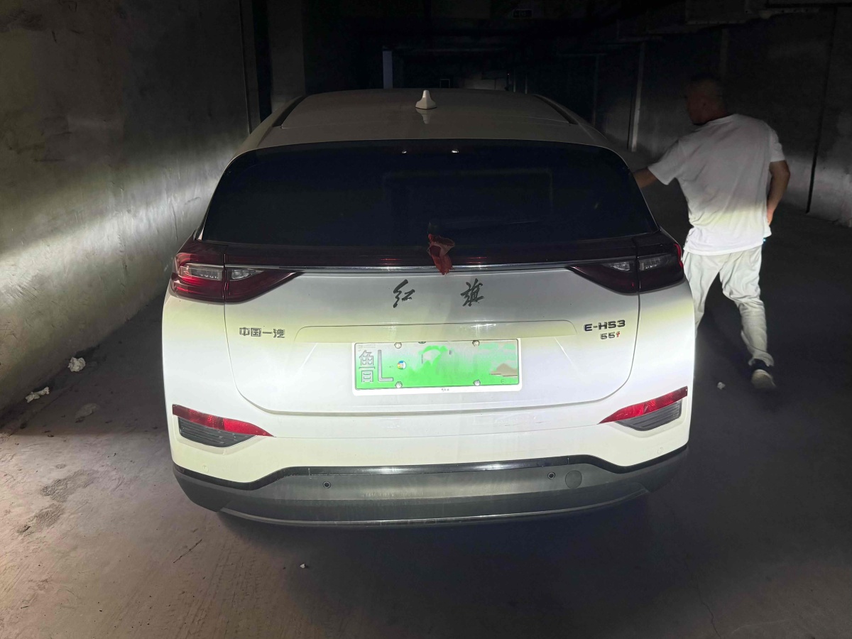 HongQi E-HS3 2020 #7 HongQi E-HS3 2020 immagine di auto #7