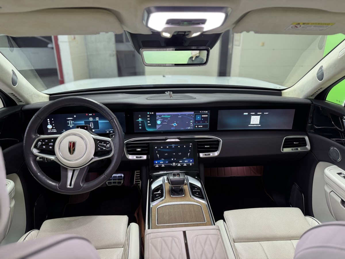 HongQi E-HS9 2021 immagine di auto #7