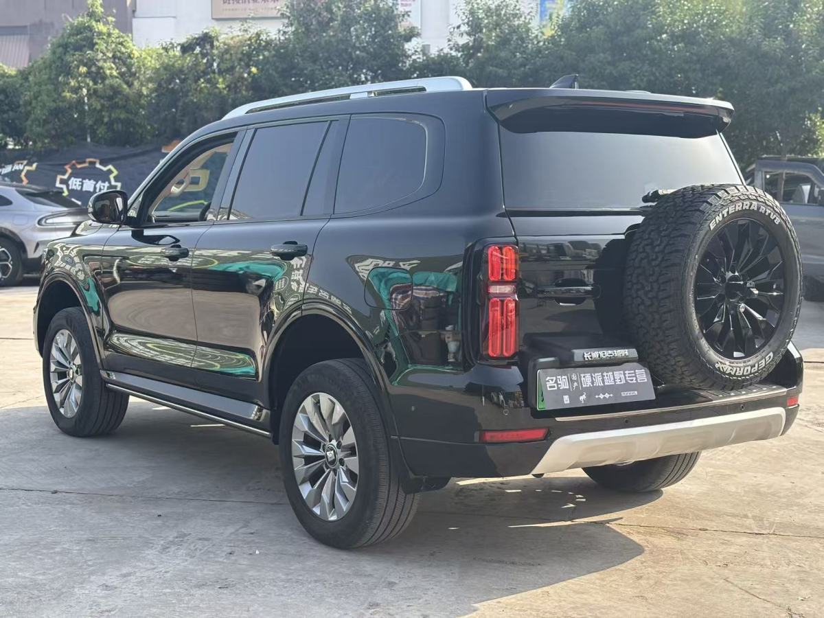 Tank 500 New Energy 2024 car image #7