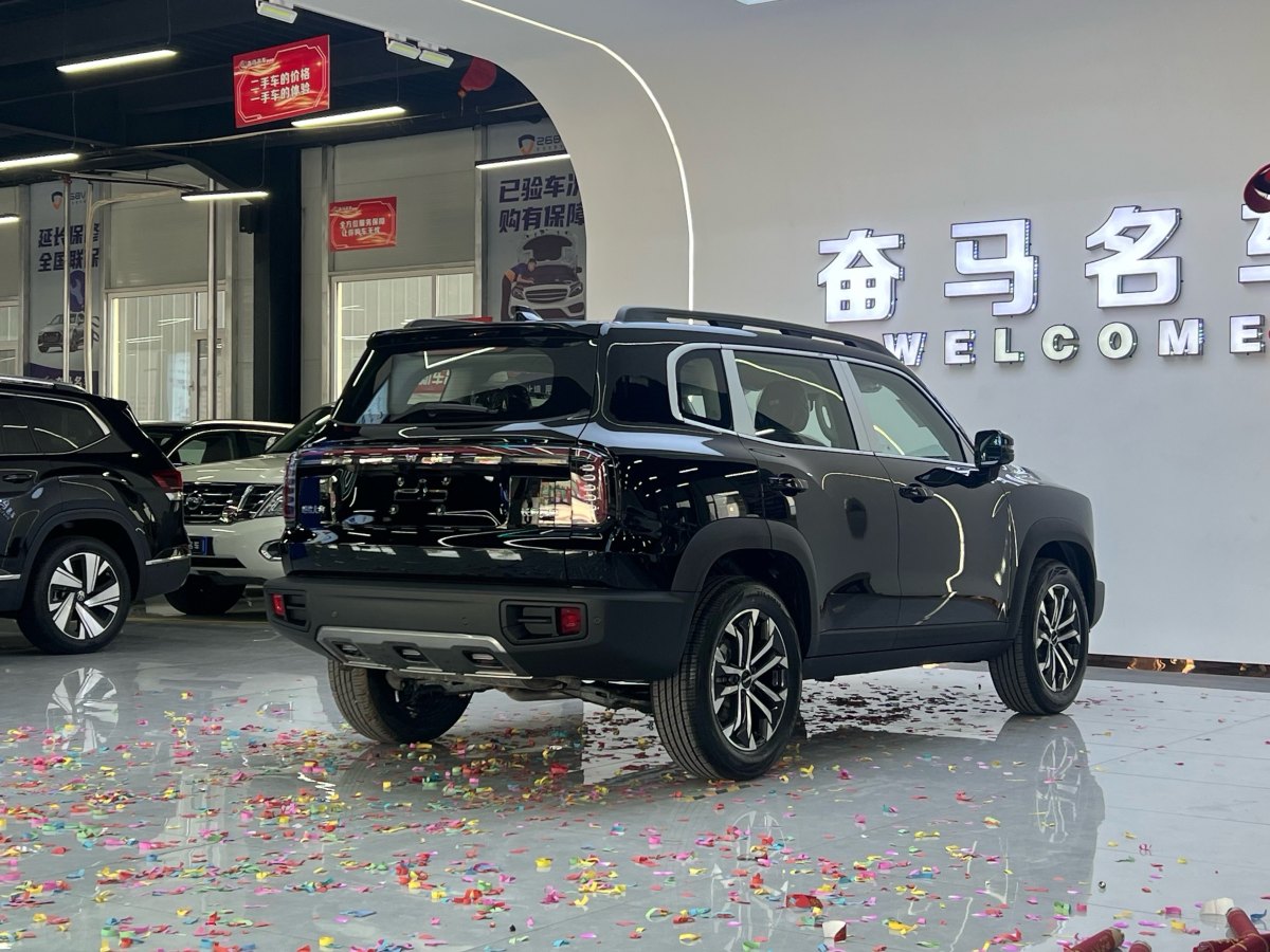 Haval X Dog / Dargo 2025 #7 Haval X Dog / Dargo 2025 car image #7