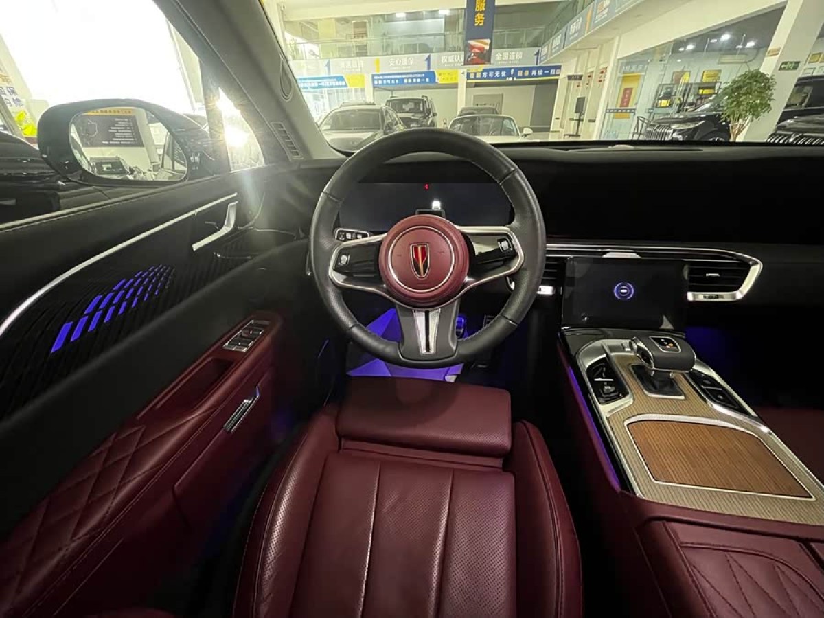 HongQi E-HS9 2023 immagine di auto #7