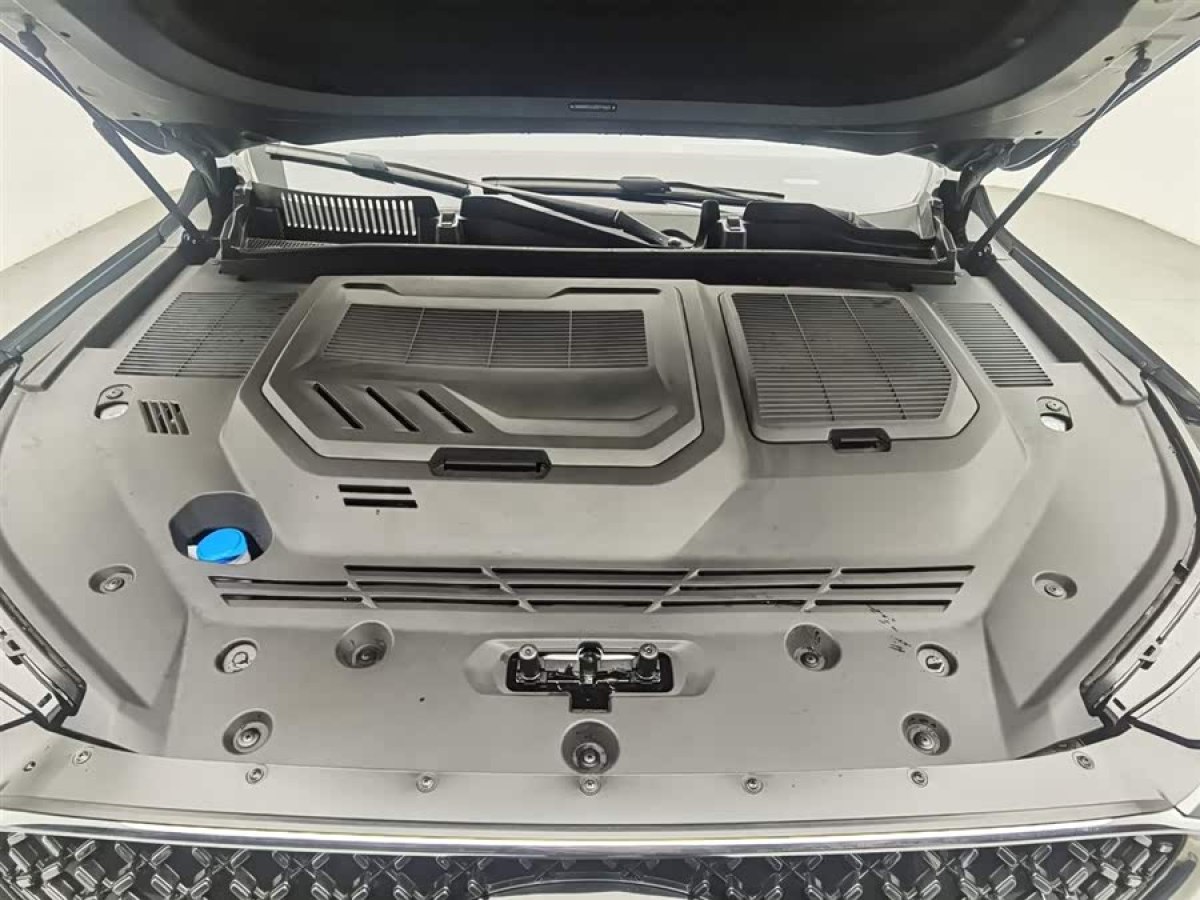 Chery Tiggo8 PLUS C-DM 2024 immagine di auto #7