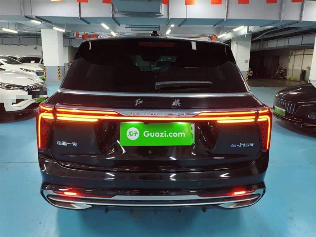 HongQi E-HS9 2023 car image #7
