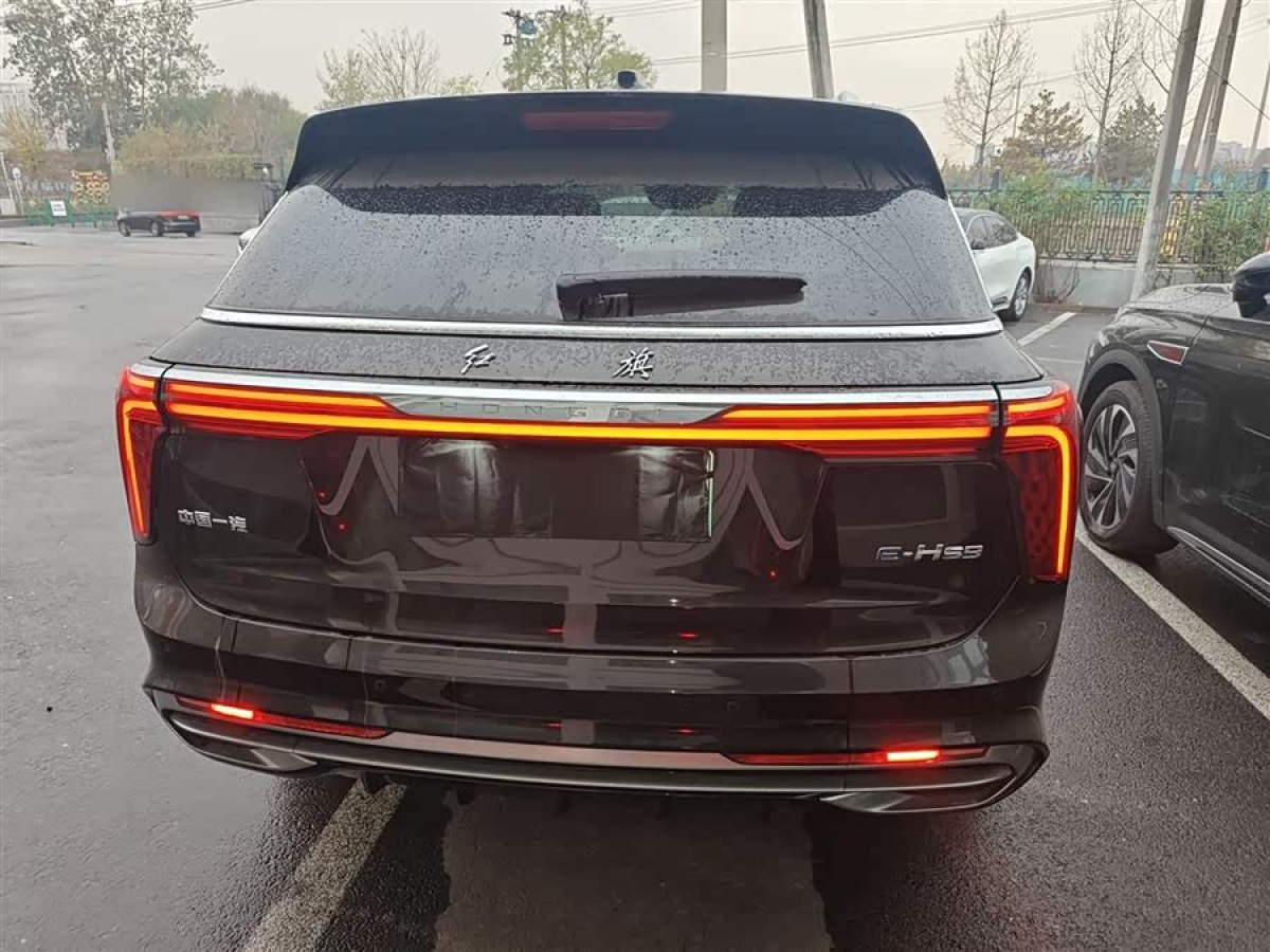 HongQi E-HS9 2023 #7 HongQi E-HS9 2023 car image #7