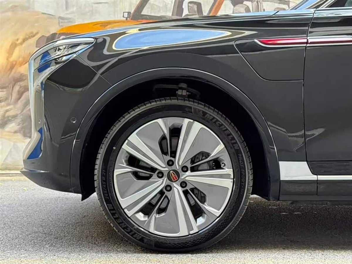 HongQi E-HS9 2023 #7 HongQi E-HS9 2023 immagine di auto #7