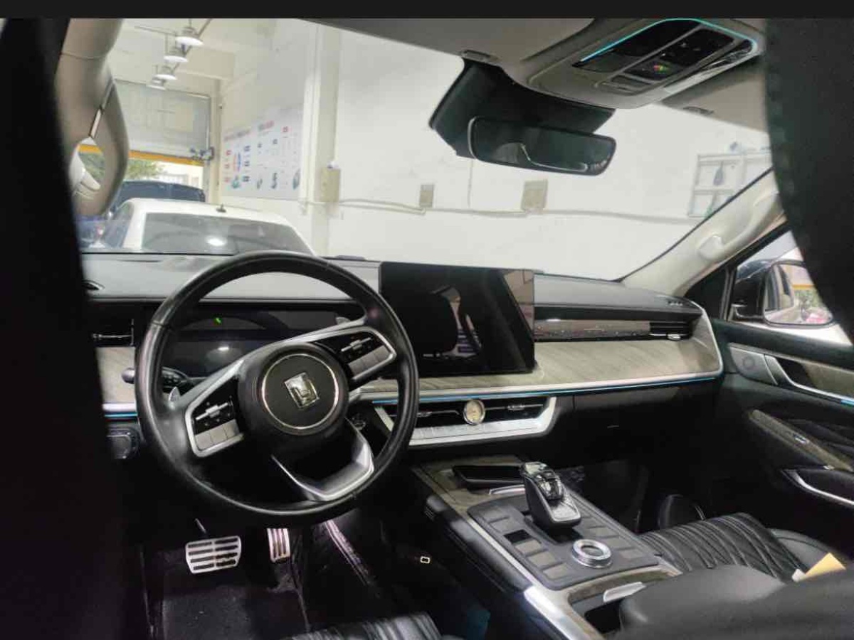 Tank 500 New Energy 2023 car image #7