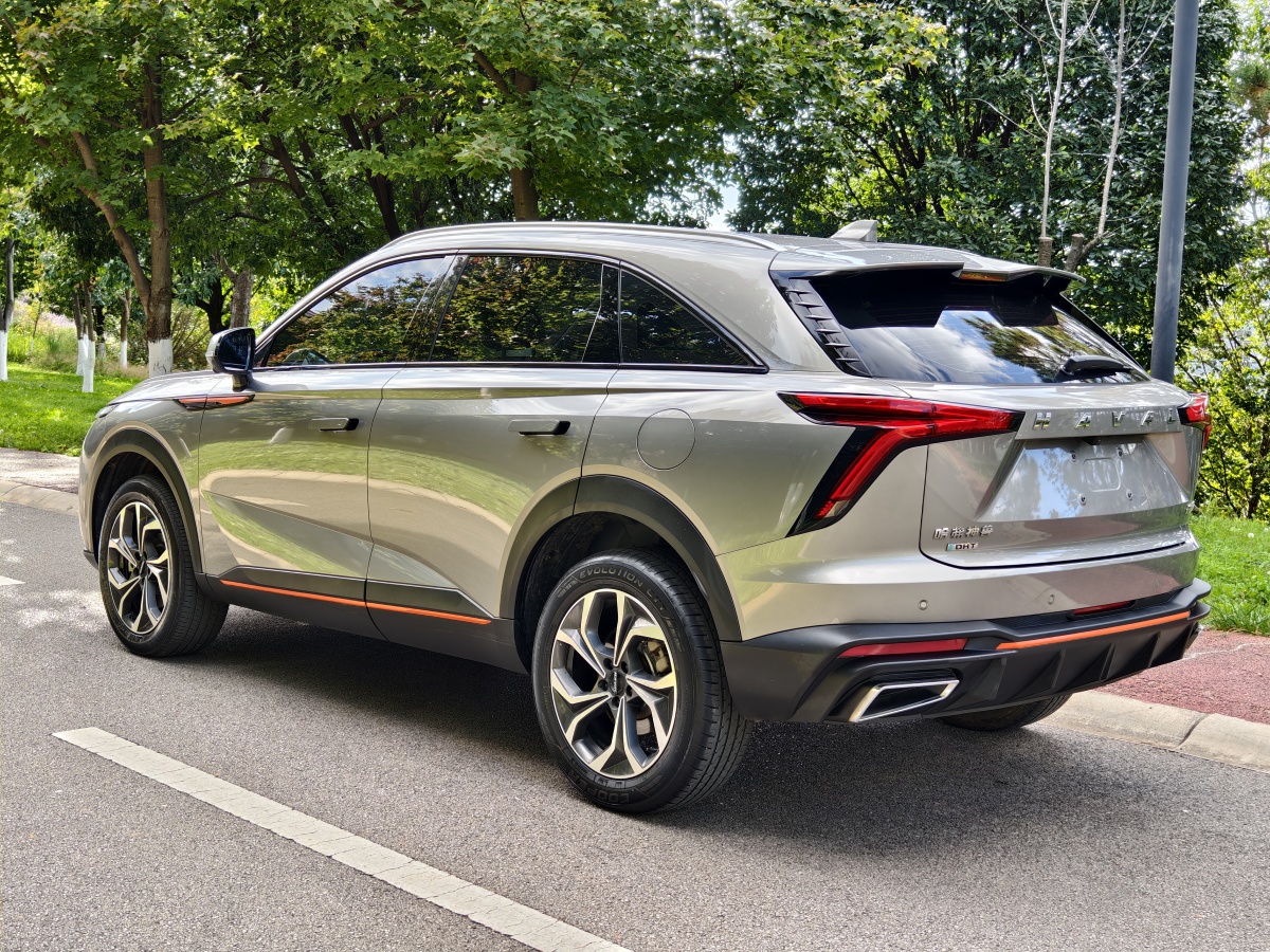 Haval H6 2022 immagine di auto #7