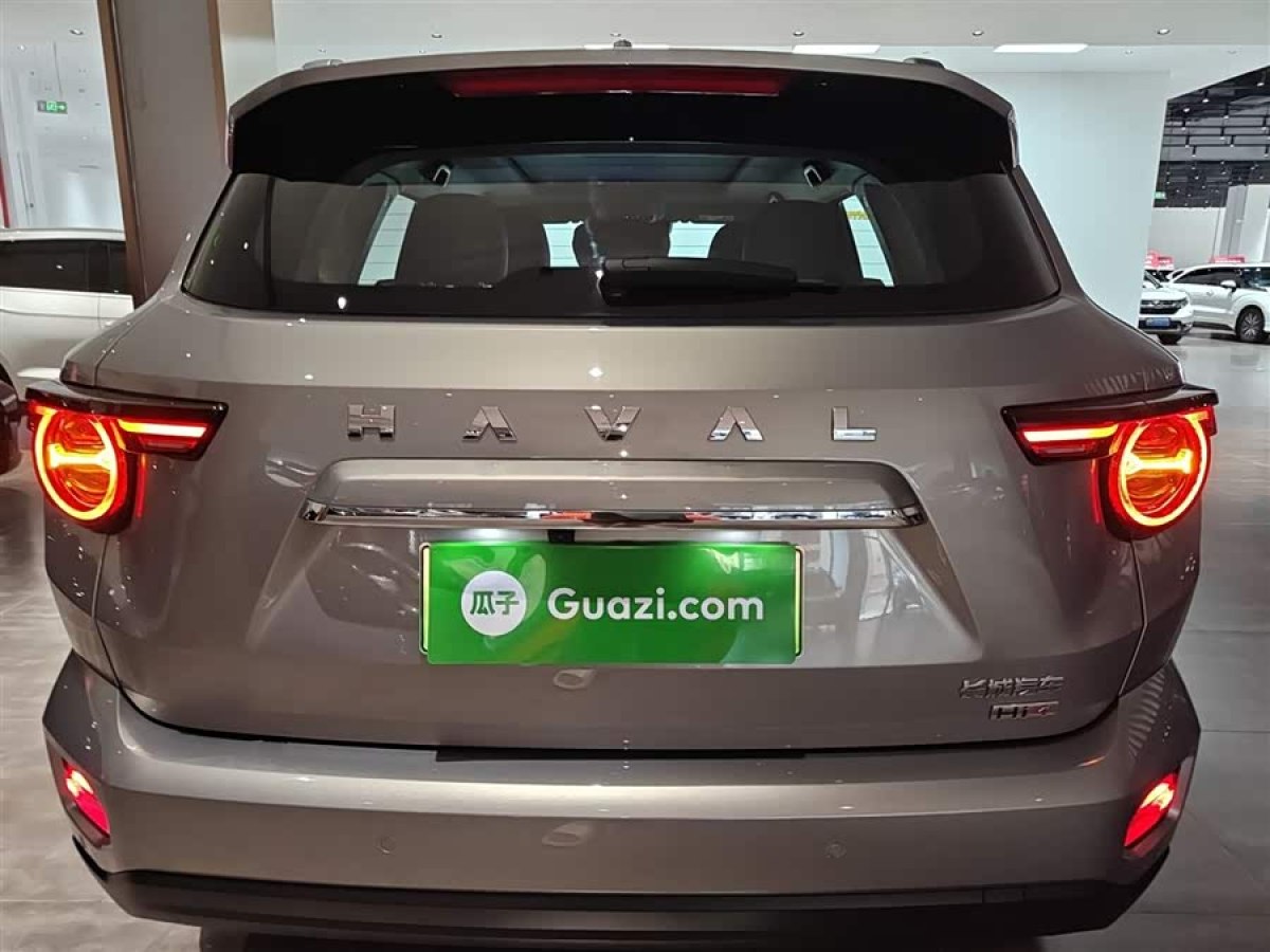 Haval X Dog 2 New Energy 2024 car image #7