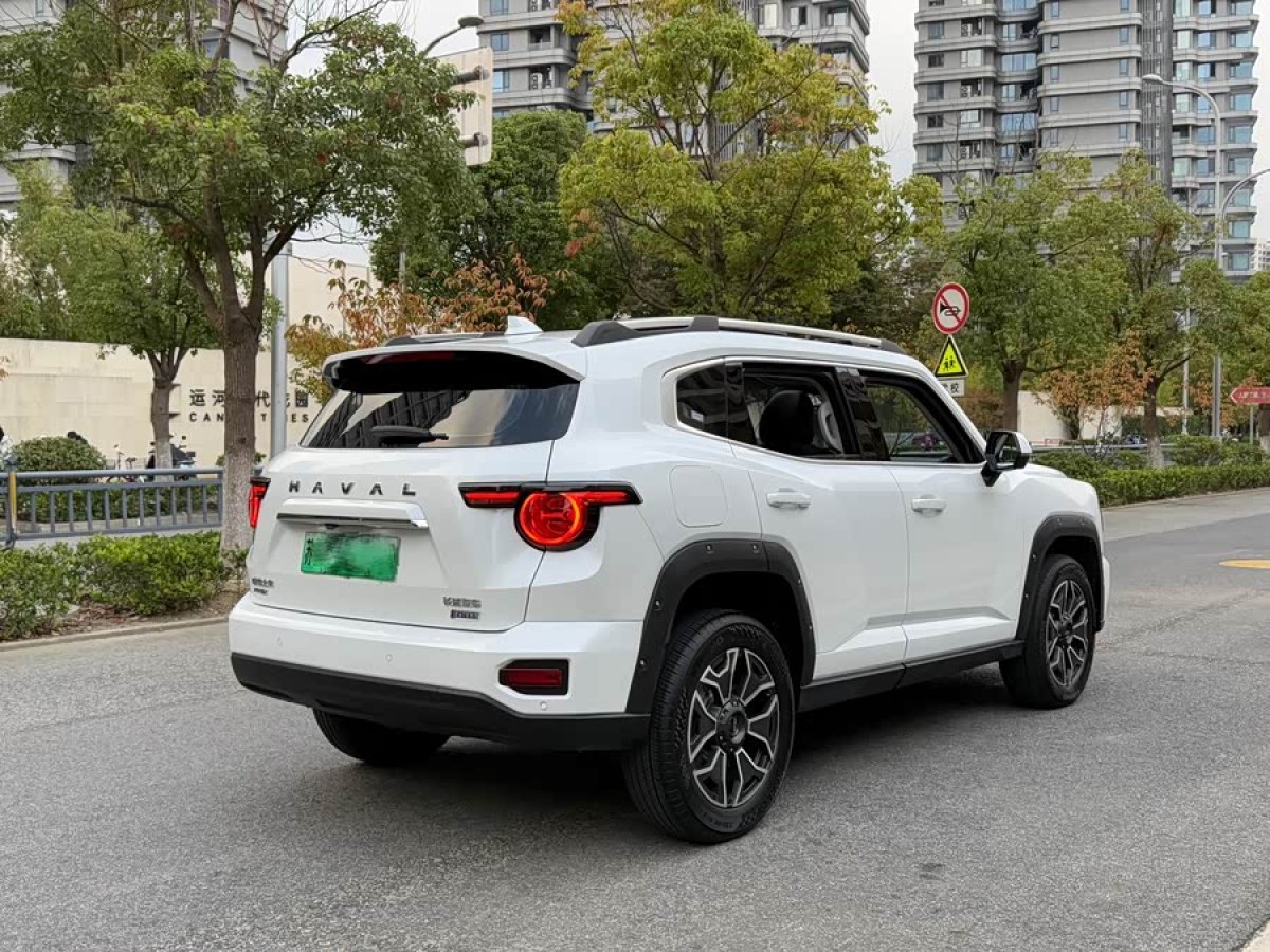 Haval X Dog 2 New Energy 2025 car image #7