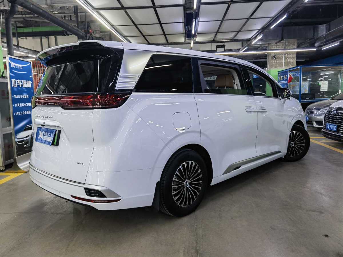 Denza DENZA 2024 car image #7