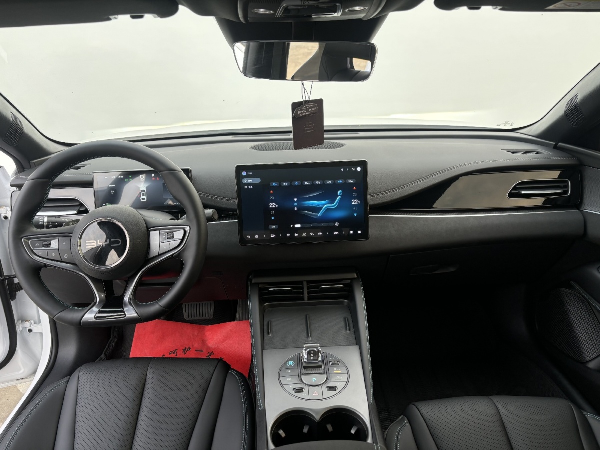 BYD Seal 06 DM-i 2025 immagine di auto #7