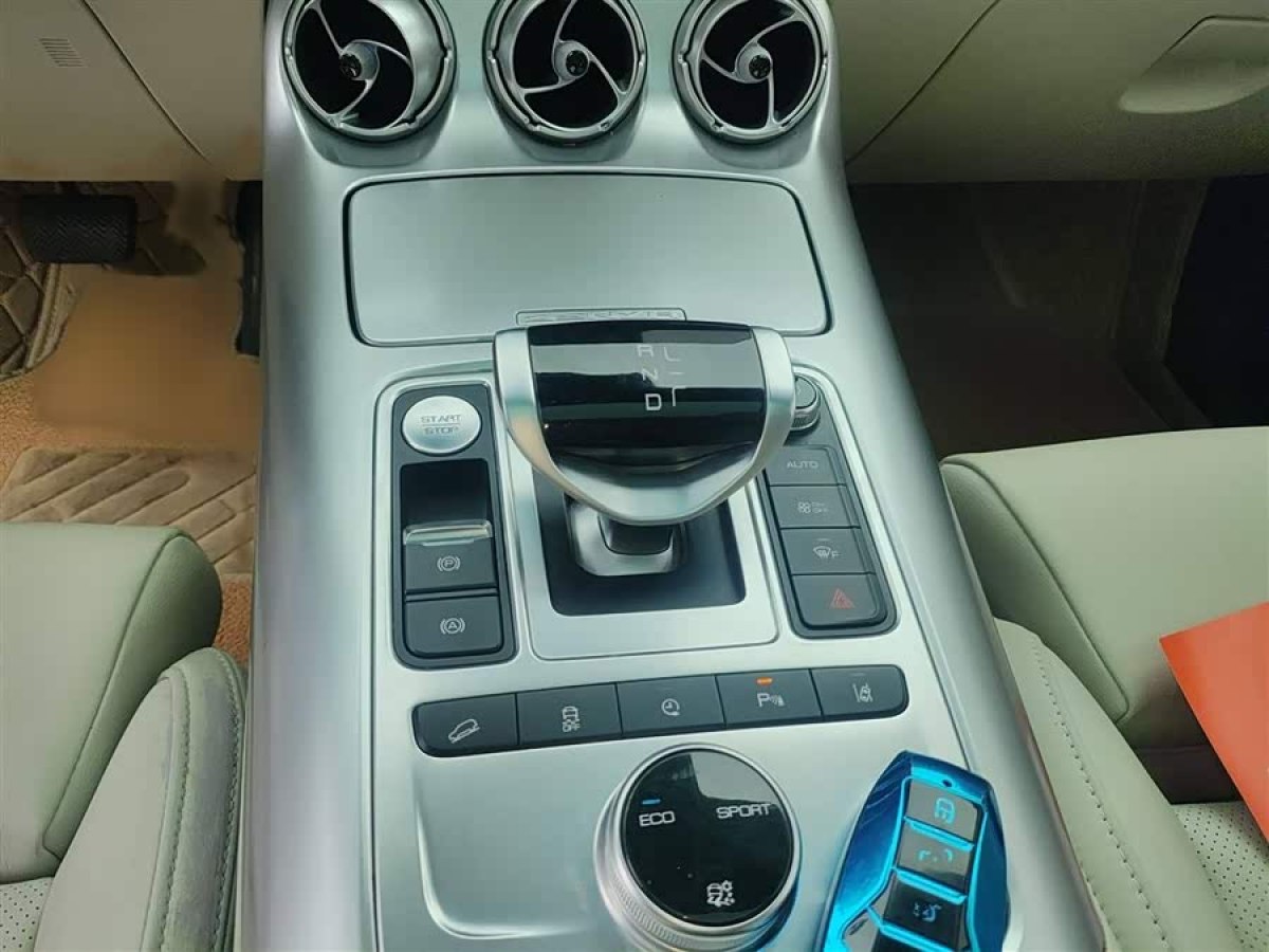 Denza X 2020 изображение автомобиля #7