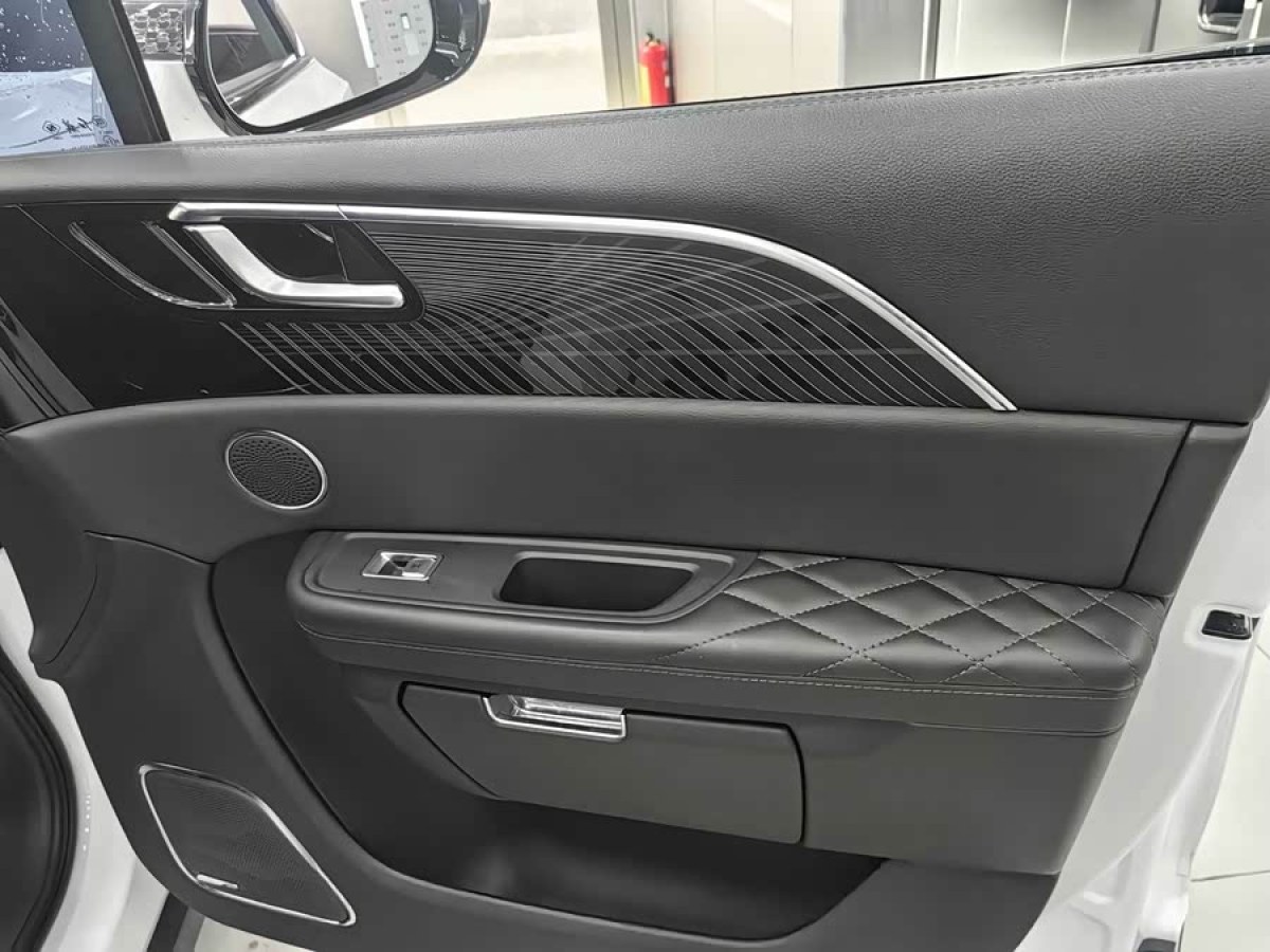 HongQi E-HS9 2023 car image #7