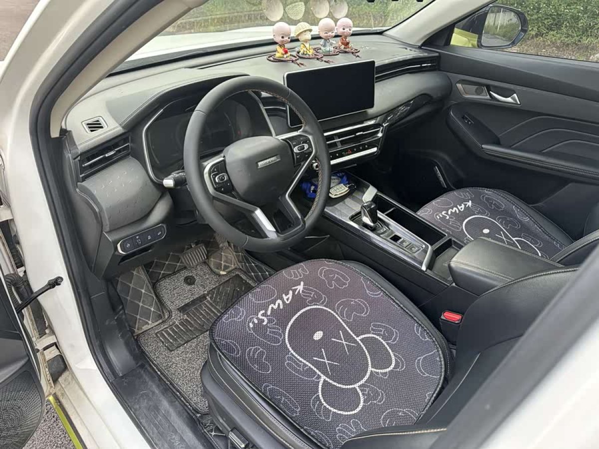 Haval Rabbit 2022 immagine di auto #7