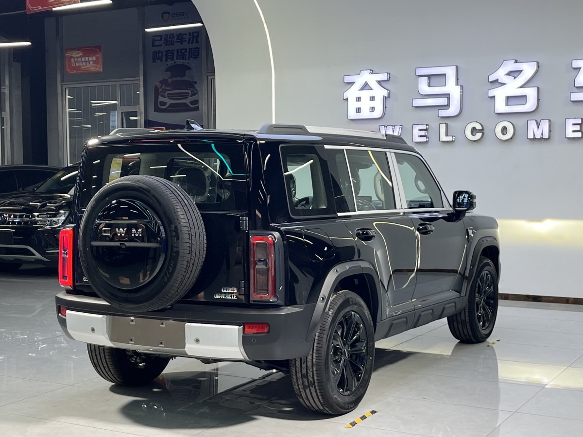 Haval Raptor 2025 car image #7