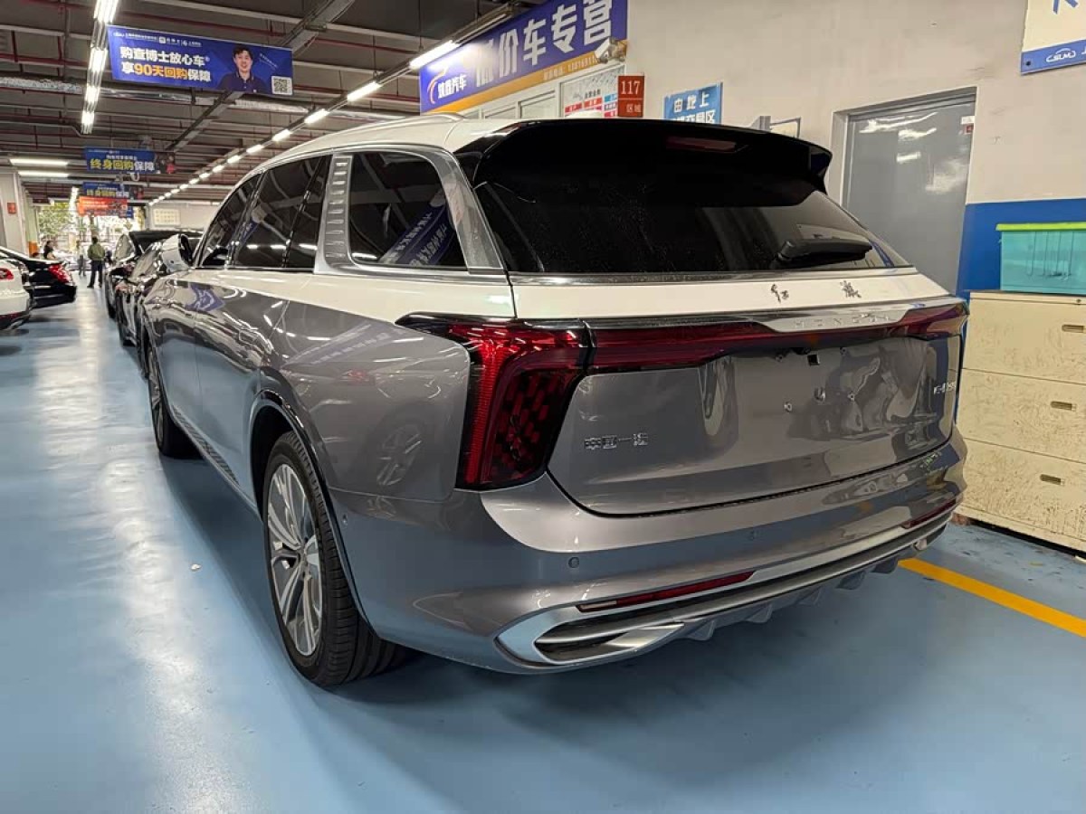 HongQi E-HS9 2024 #7 HongQi E-HS9 2024 immagine di auto #7