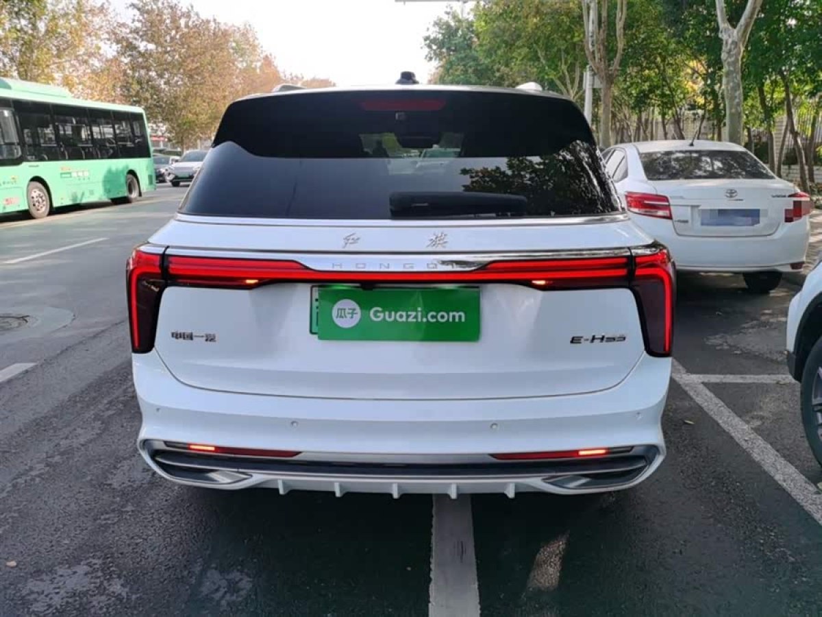 HongQi E-HS9 2023 car image #7