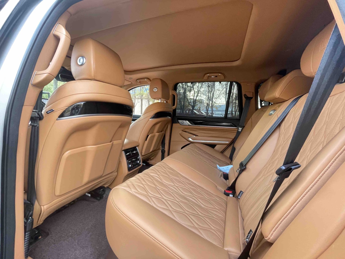 Tank 500 New Energy 2024 car image #7