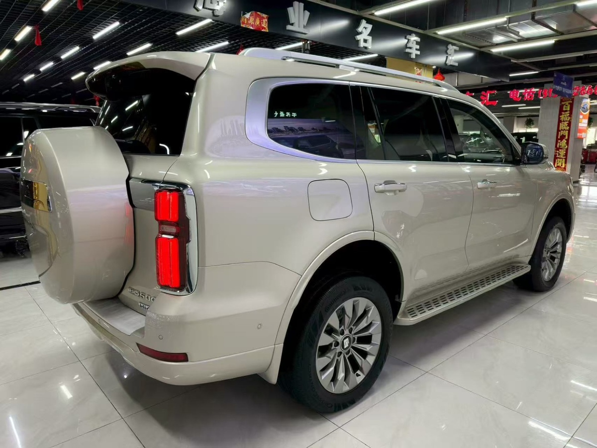 Tank 500 New Energy 2024 car image #7