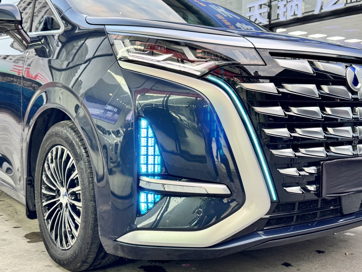 腾势 腾势D9 2024 汽车图片 #7