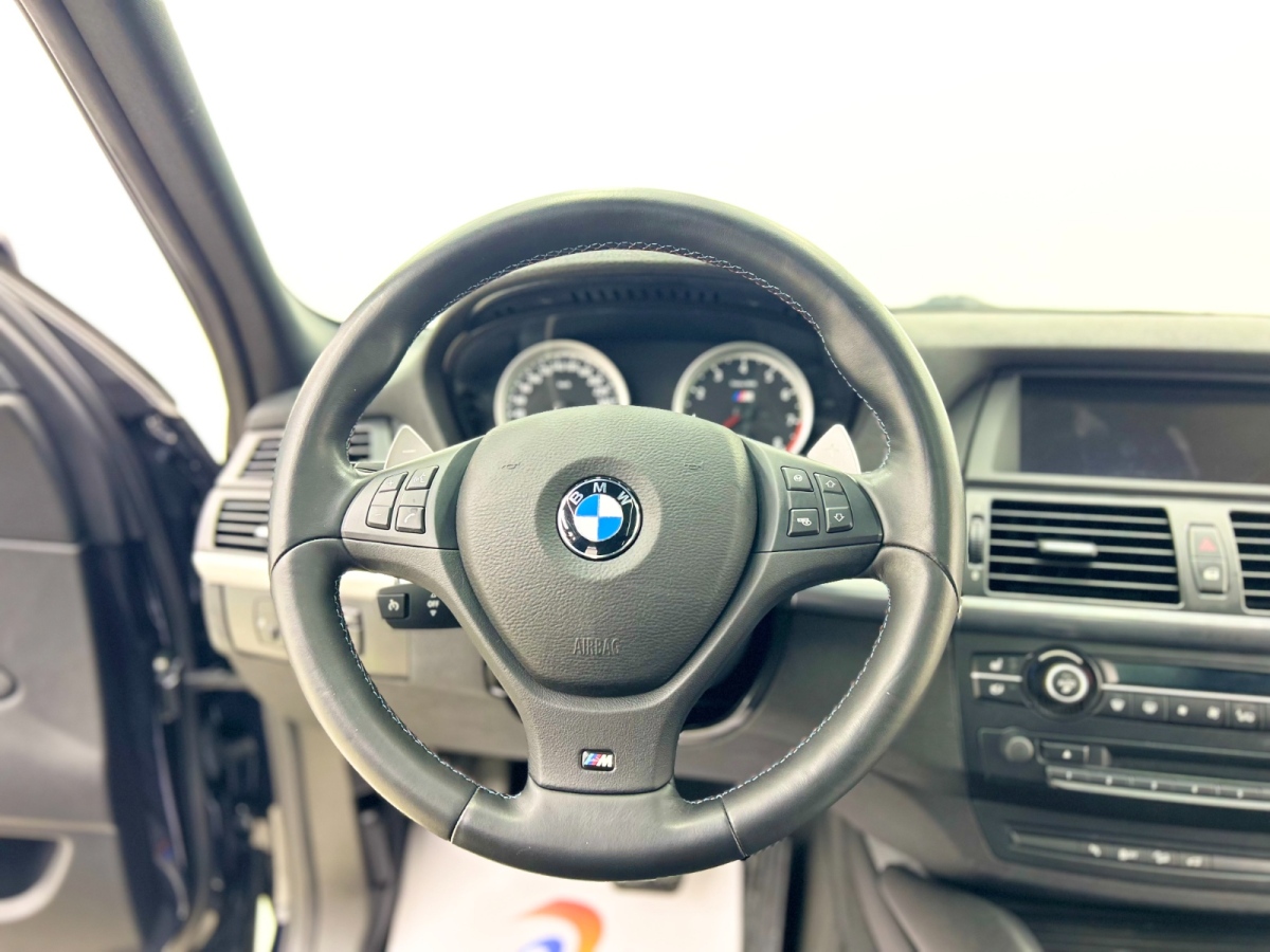 BMW X5 M 2010 car image #7