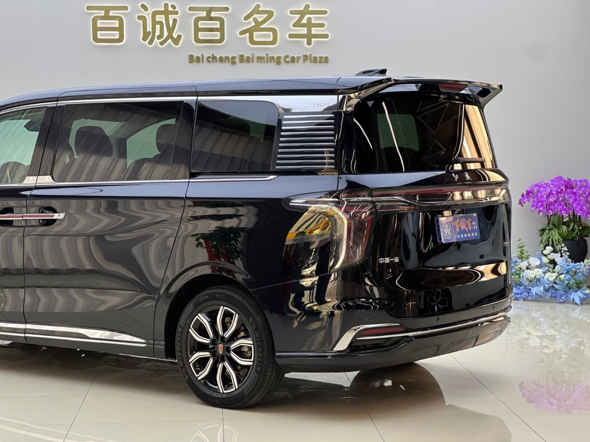 HongQi HQ9 2023 car image #7