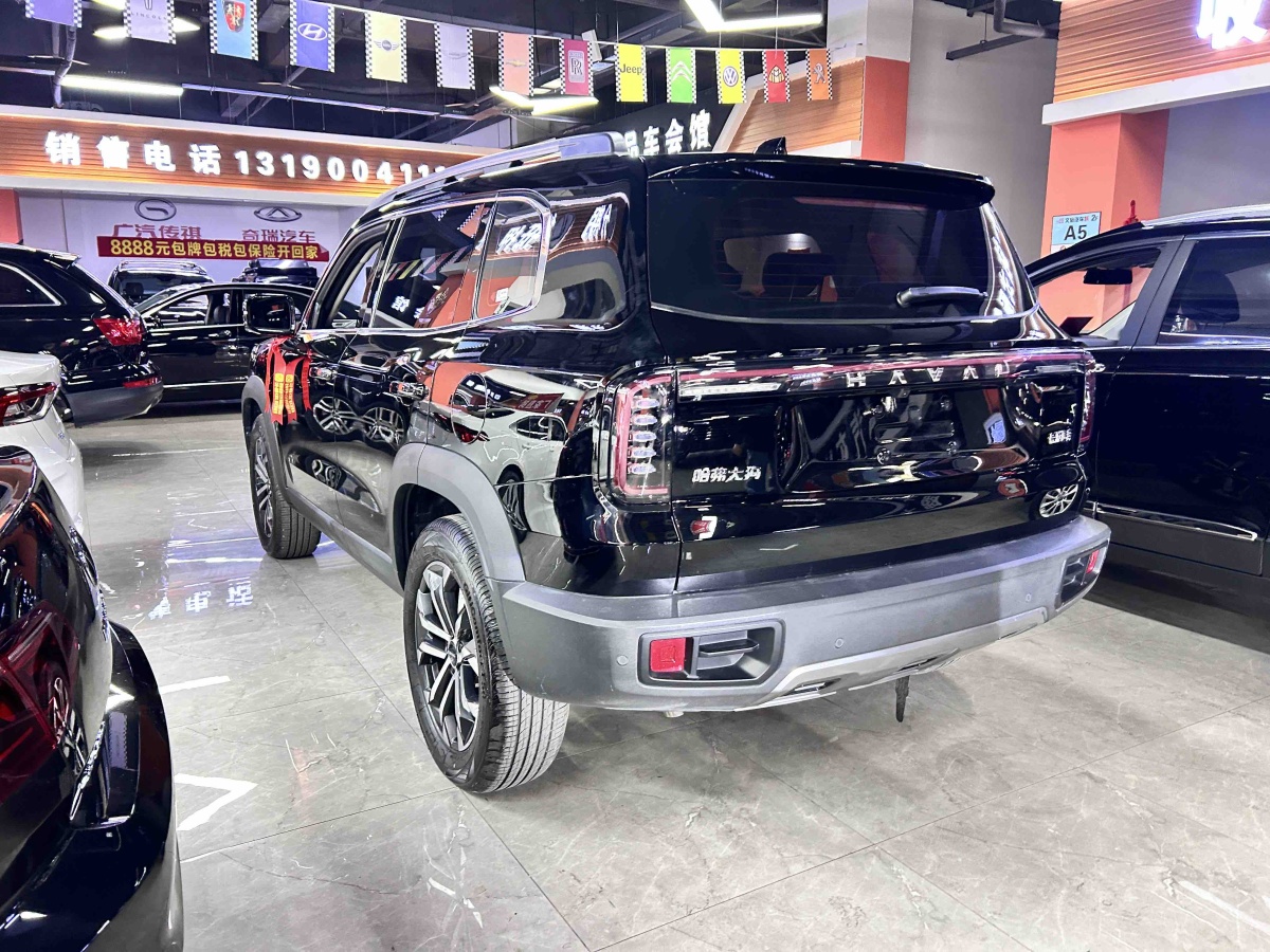 Haval X Dog / Dargo 2024 car image #7