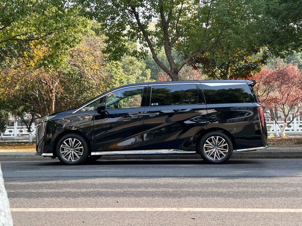 GAC Trumpchi M8 2024 car image #7