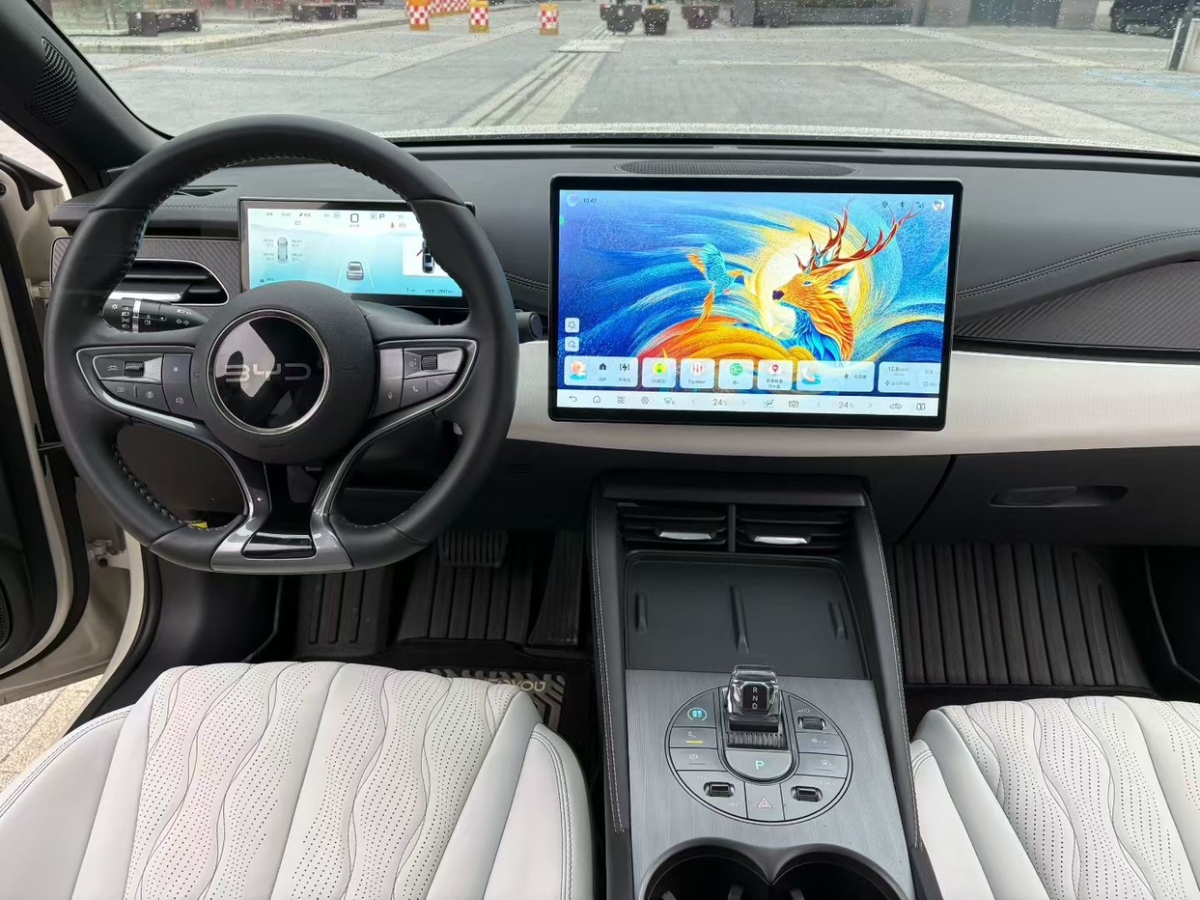 BYD Seal 06 New Energy 2024 car image #7