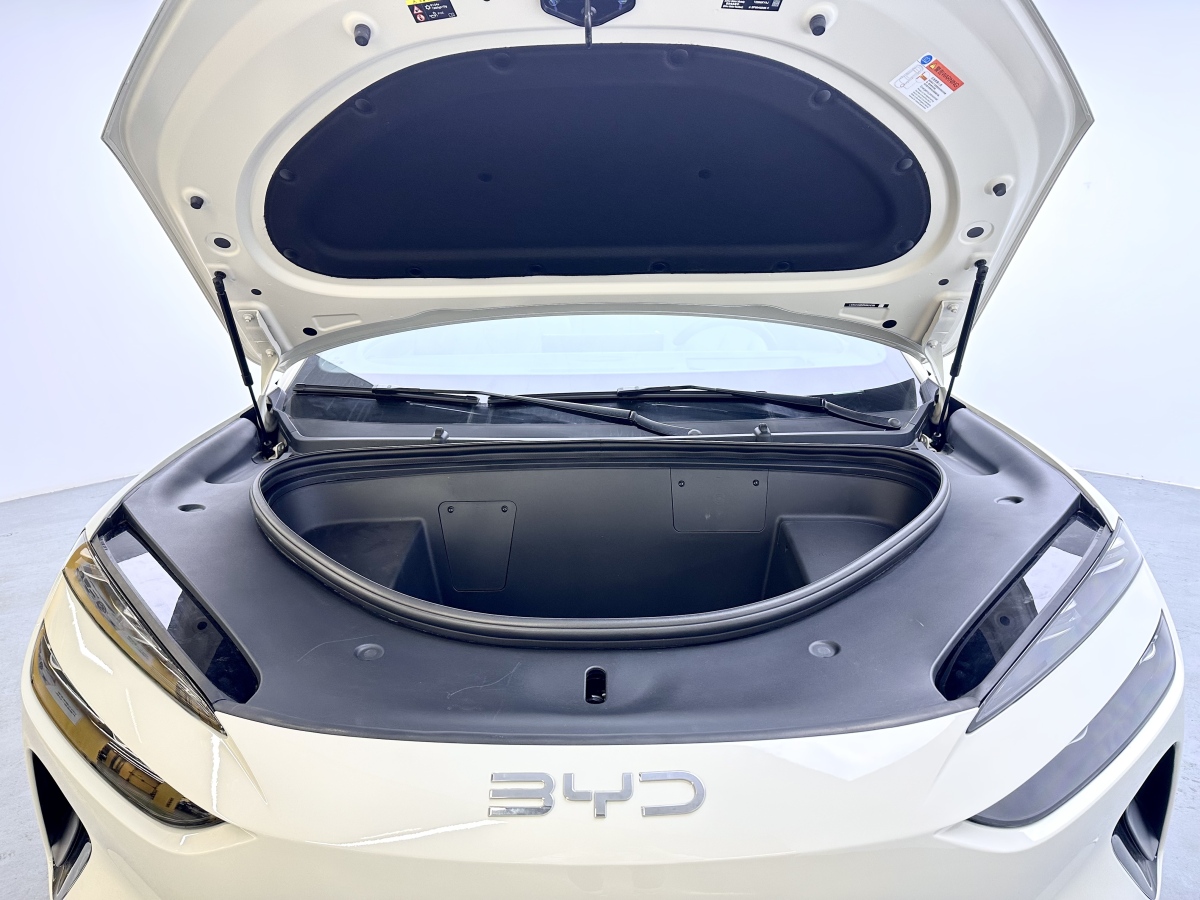 BYD Sea Lion 06 New Energy 2025 car image #7