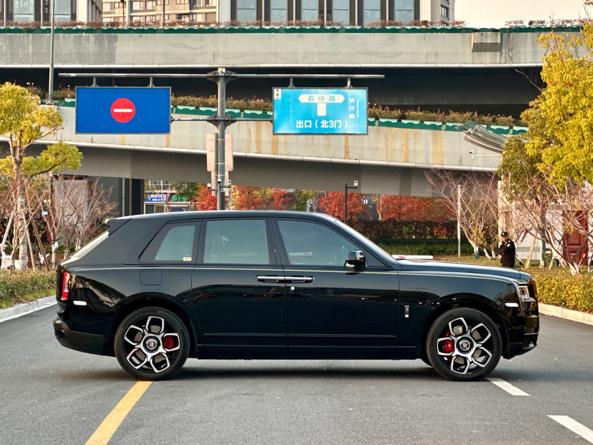 Rolls-Royce Cullinan 2022 immagine di auto #7