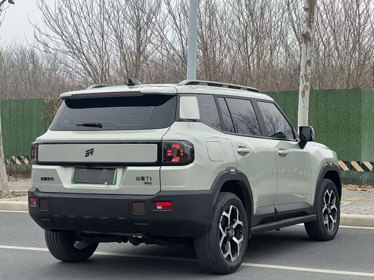 Jetour Shanhai T1 2024 immagine di auto #7