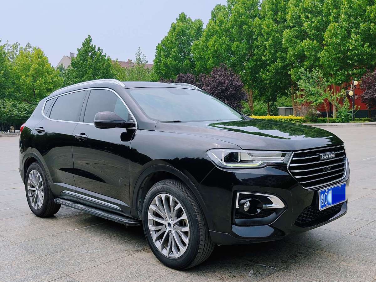 Haval 2019 car image #7