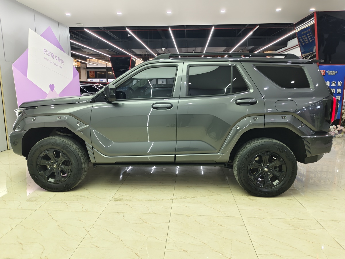 Tank 400 New Energy 2024 car image #7