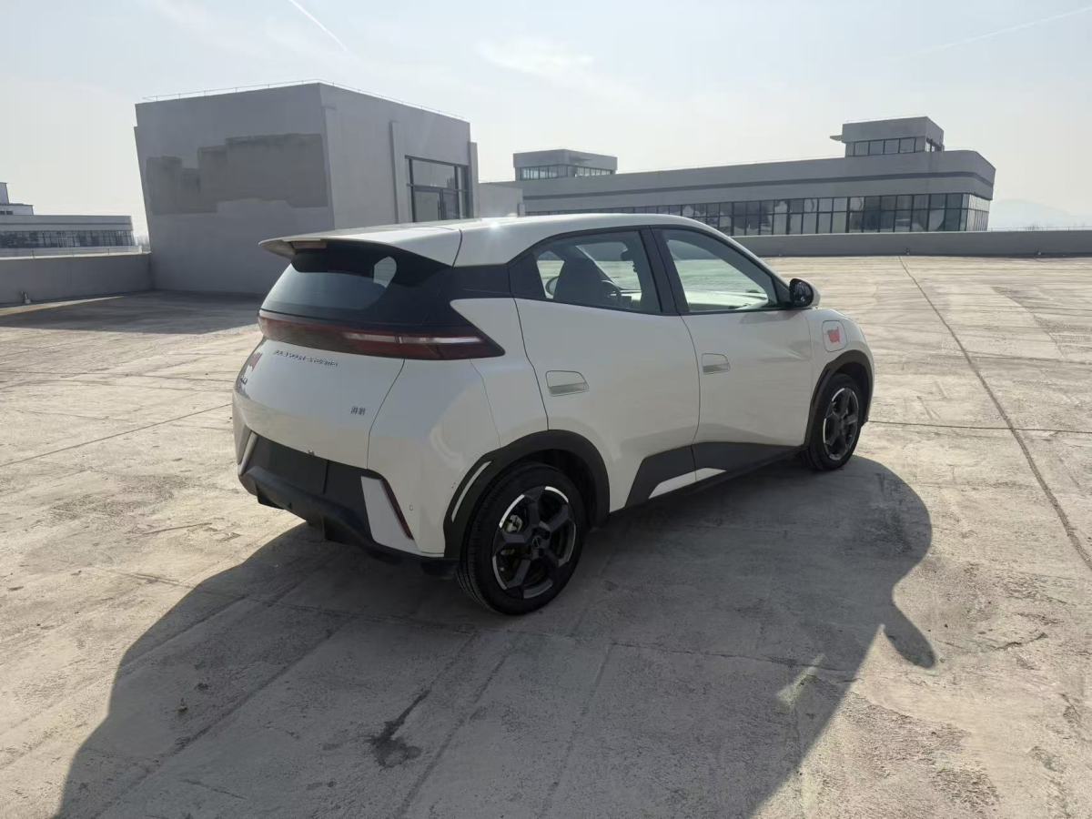 BYD Seagull 2024 imagen de coche #7