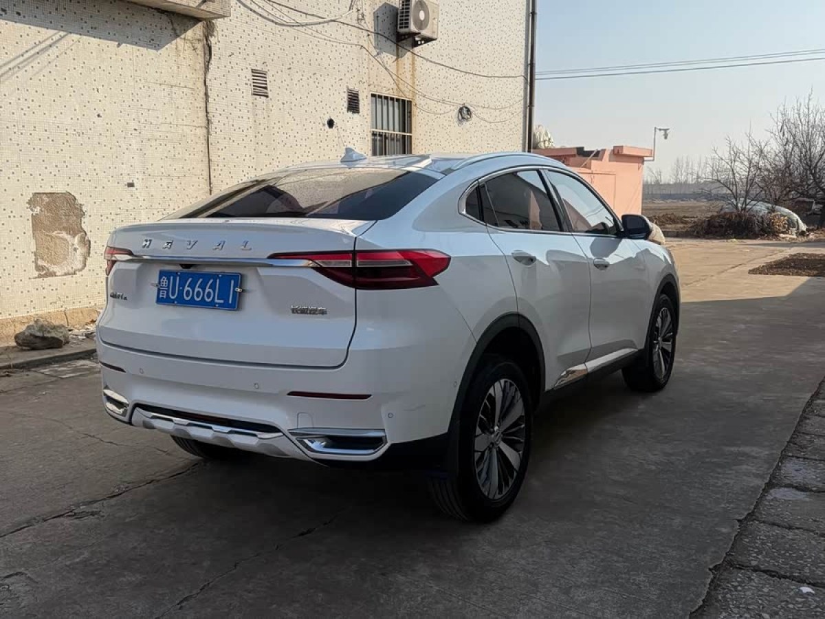 Haval F7x 2019 immagine di auto #7