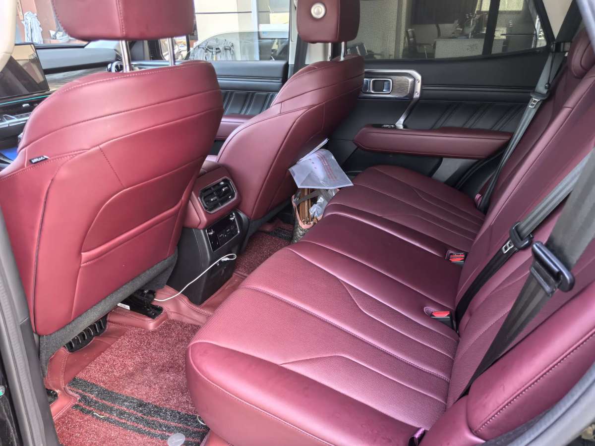 Tank 400 New Energy 2024 car image #7