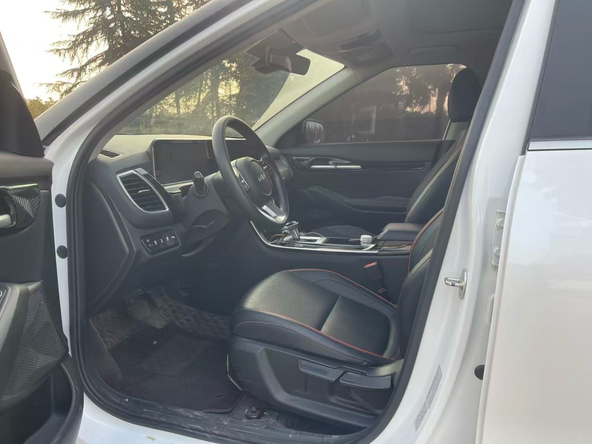 Kia Seltos 2024 car image #7