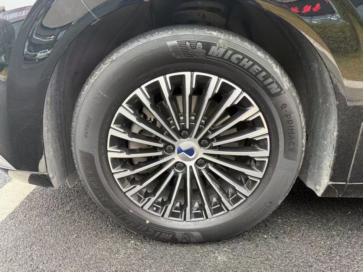 Denza D9 2023 immagine di auto #7