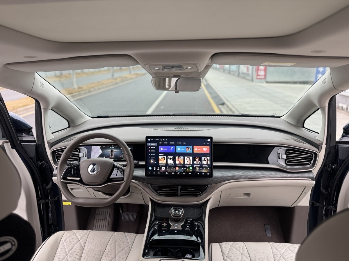 Denza D9 2023 car image #7