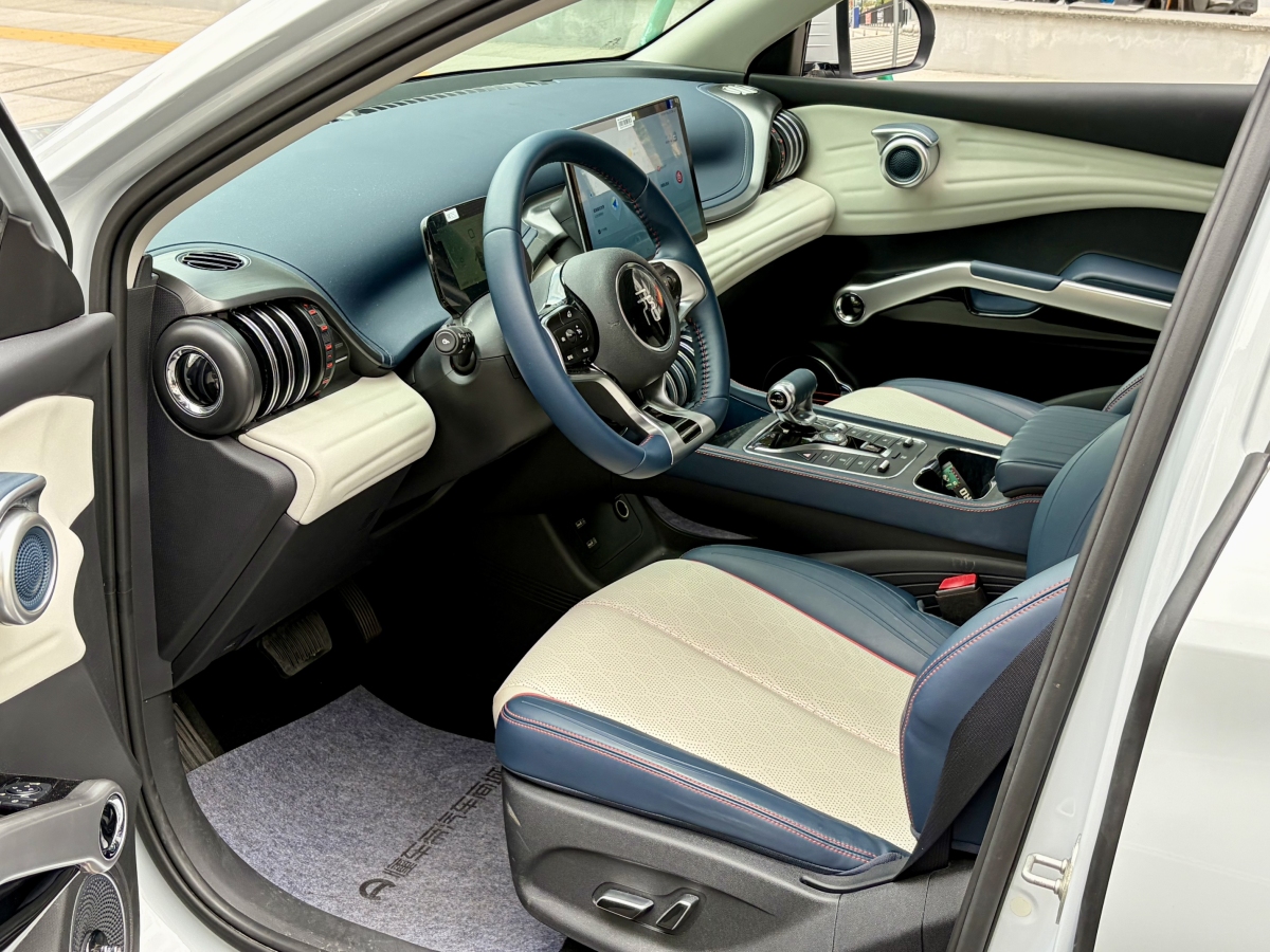 BYD Yuan Plus 2022 car image #7