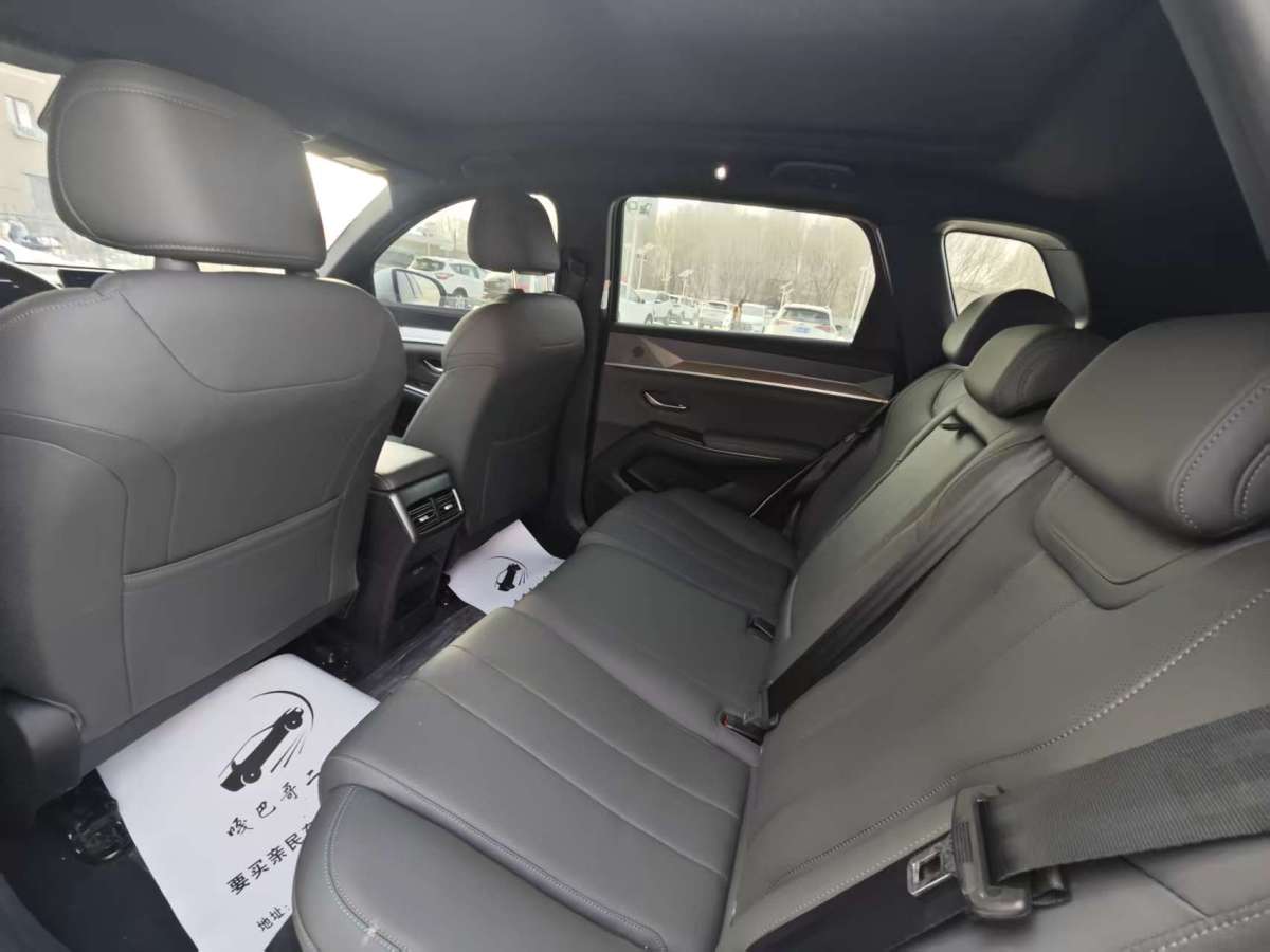 BYD Song Pro New Energy 2025 car image #7