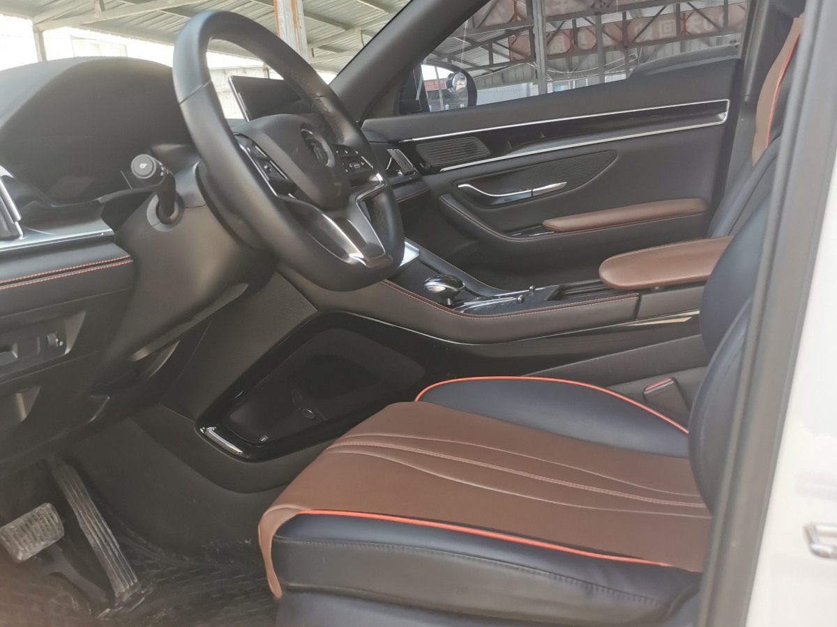 BYD Song Plus 2021 immagine di auto #7