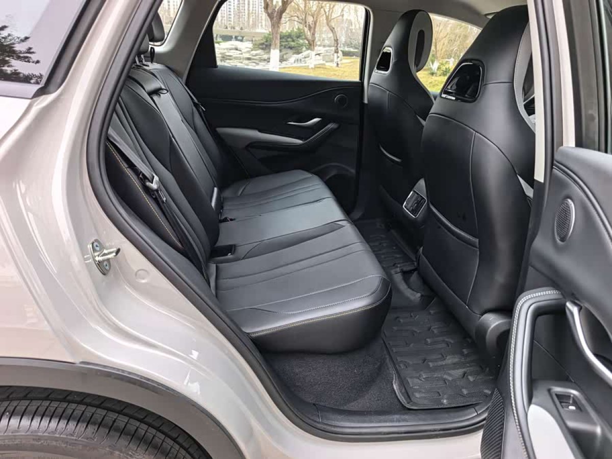 BYD Sea Lion 05 DM-i 2025 car image #7