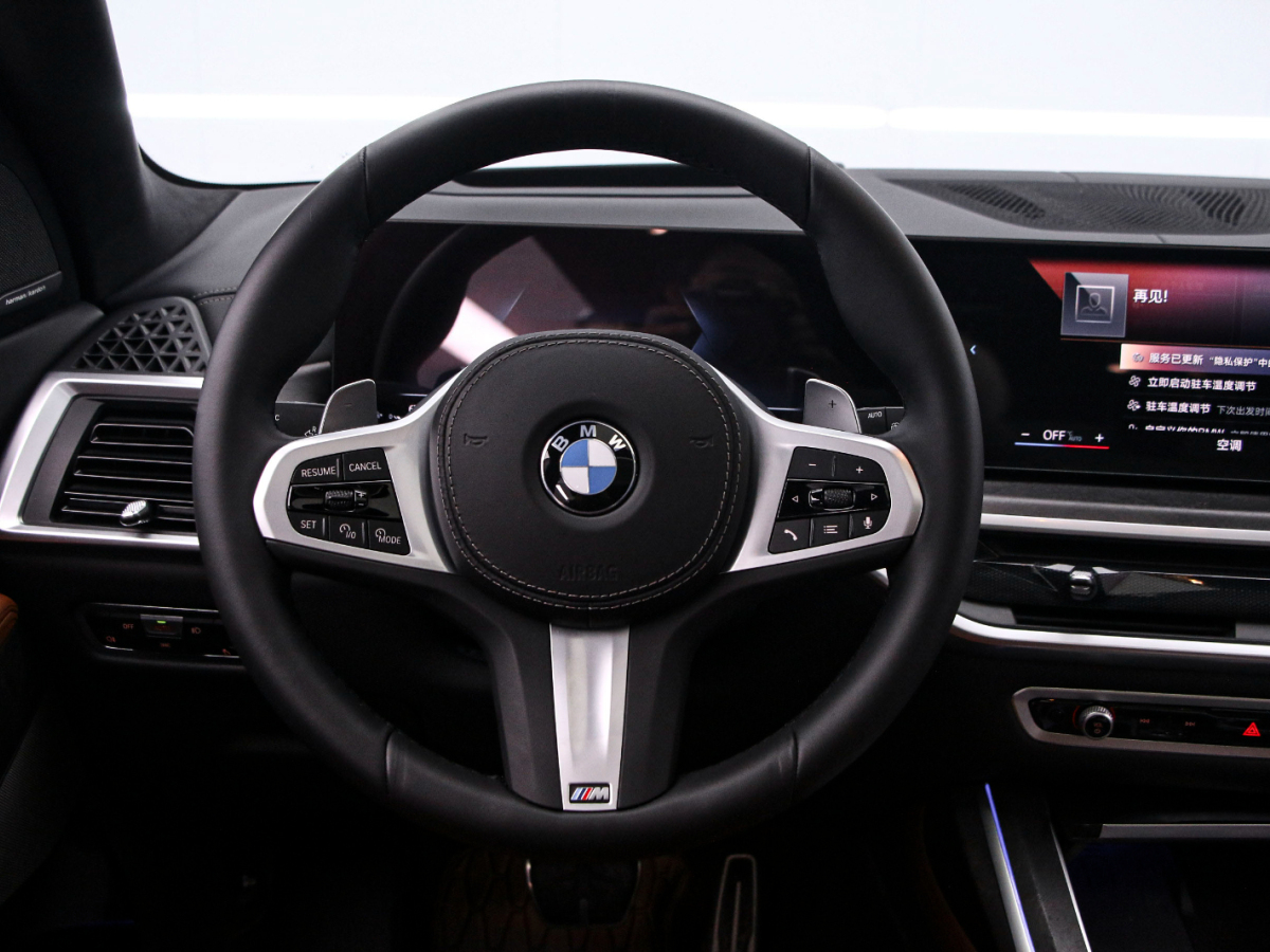 BMW X7 2023 immagine di auto #7