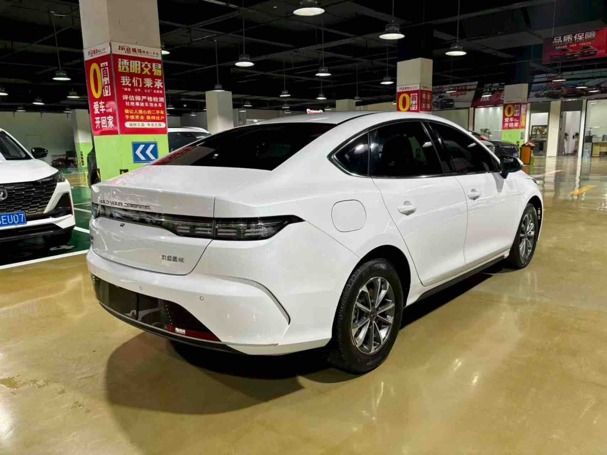 BYD Destroyer 05 2024 imagen de coche #7