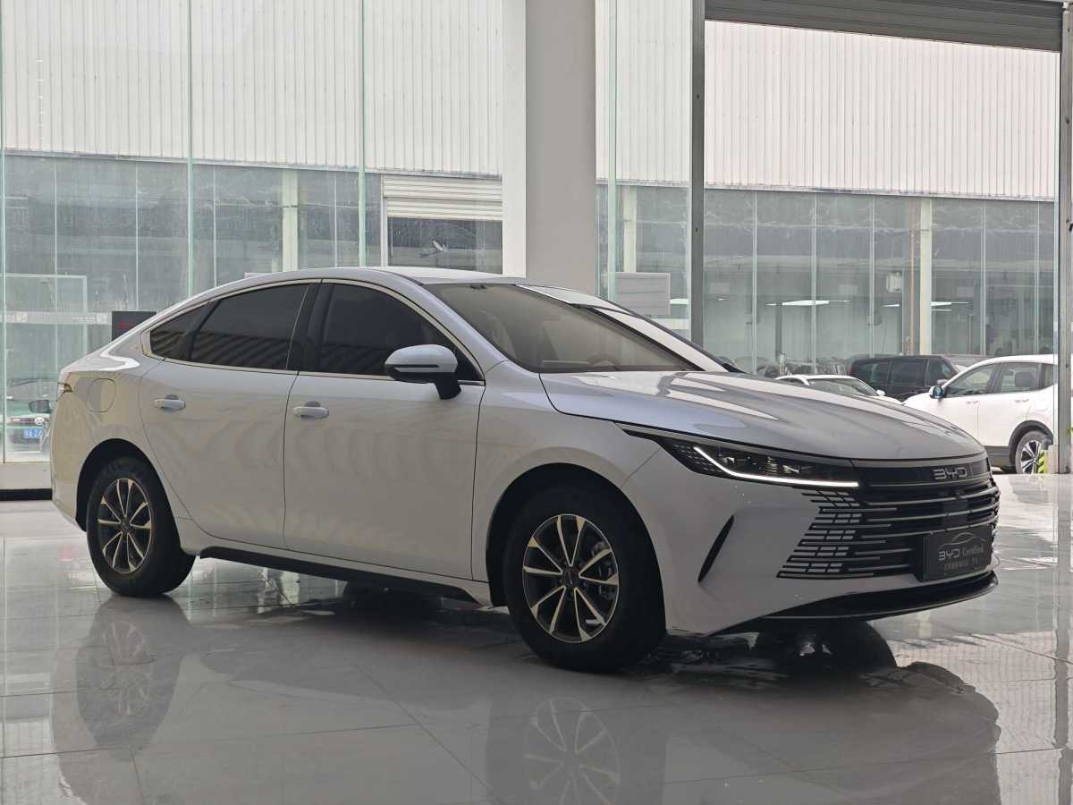 BYD Destroyer 05 2024 imagen de coche #7