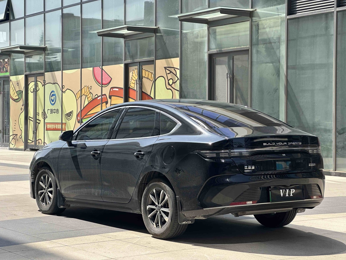 BYD Destroyer 05 2024 imagen de coche #7